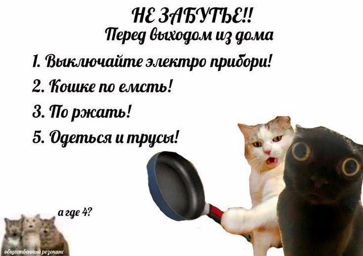 Утренняя подборочка
