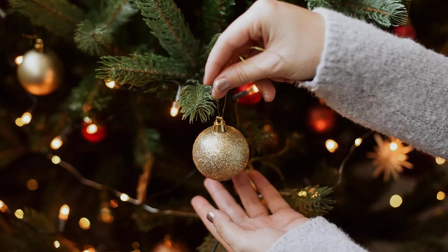 Предстоящие новогодние каникулы в России станут самым...