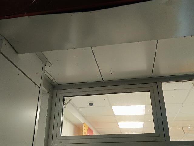 Здравствуйте! В нашем городе вообще не принято убирать...