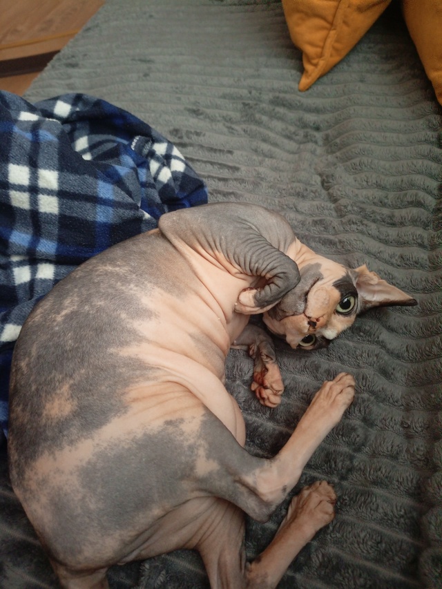 Наш первый пост)
Зайка, 6 лет, появилась почти год назад,...