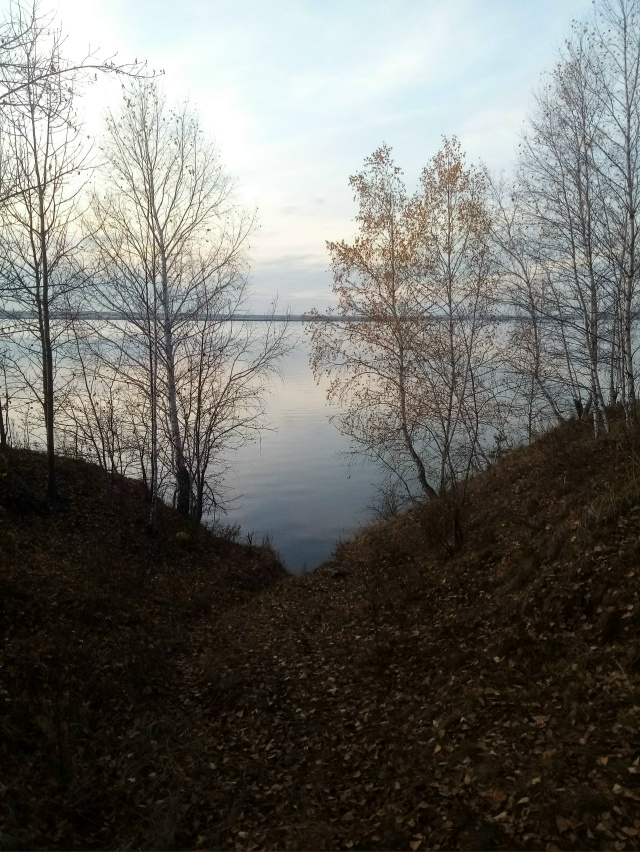 Немного позитива в ленту.На снимках-подборка № 3,прогу?...