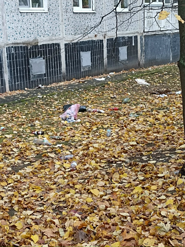 Дорогие свинки из весенняя 14, когда это уже прекратить?...