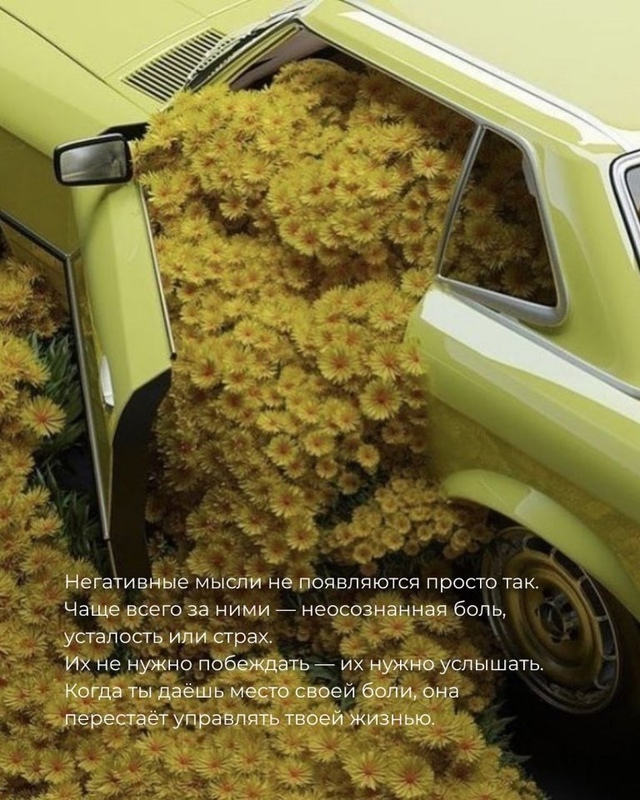 То, от чего тебе станет легче...