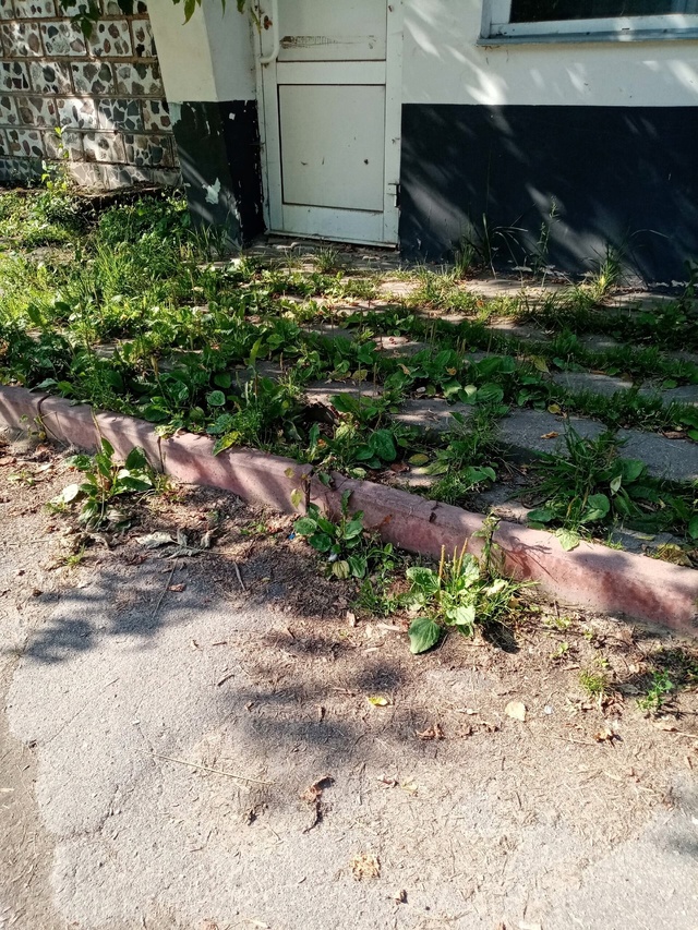 Магазин Винный склад около общежития ГПТУ , скоро у вас...