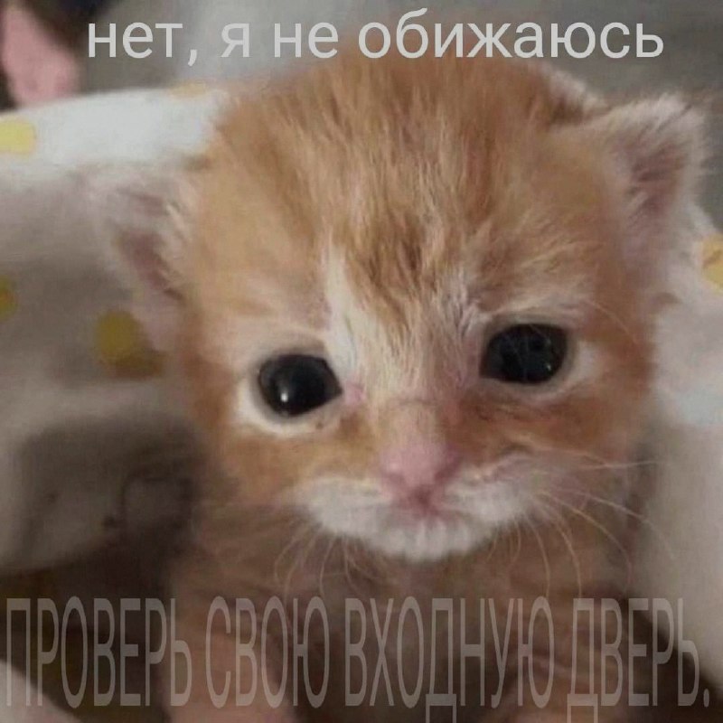 Ночная подборочка
Выходные, не спим