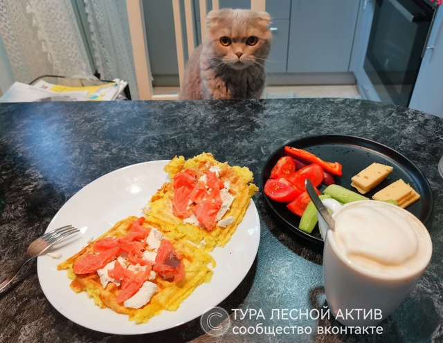 Из Нижней Туры в Кушву и обратно! Затуманщики, ночь в па...