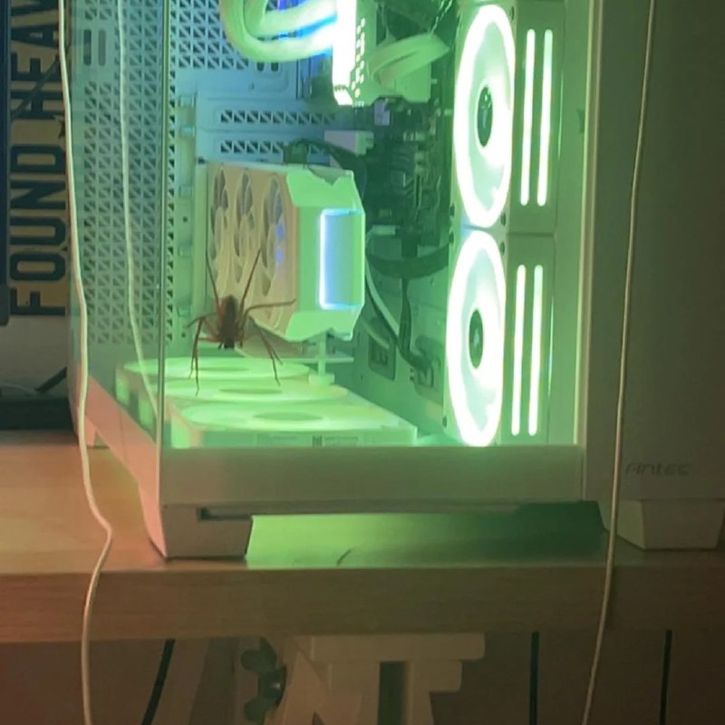 Парень рассказал, что в его системник залез паук-охотник — и пошёл за советами в интернет.
Он призн