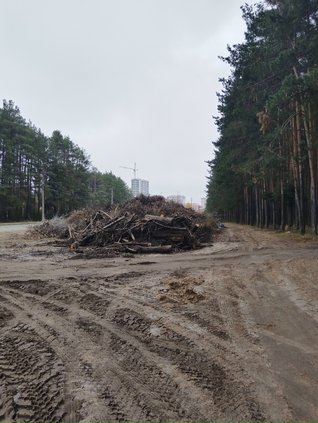 ⚡ С начала лета УГХ
Организовало свалку на ул. Любецко...