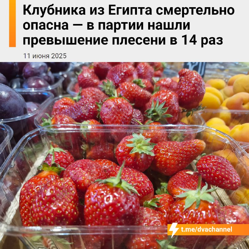⚡️Клубника из Египта смертельно опасна — в ней нашли опасный уровень плесени — в 14 раз выше нормы