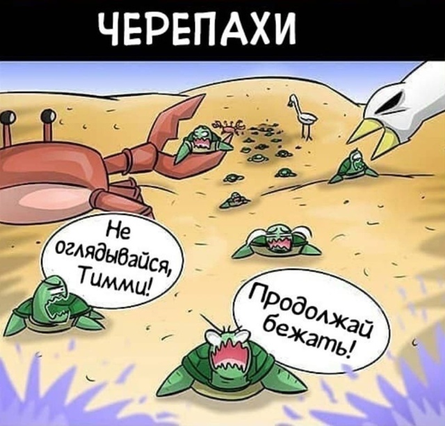 Жираф доставил