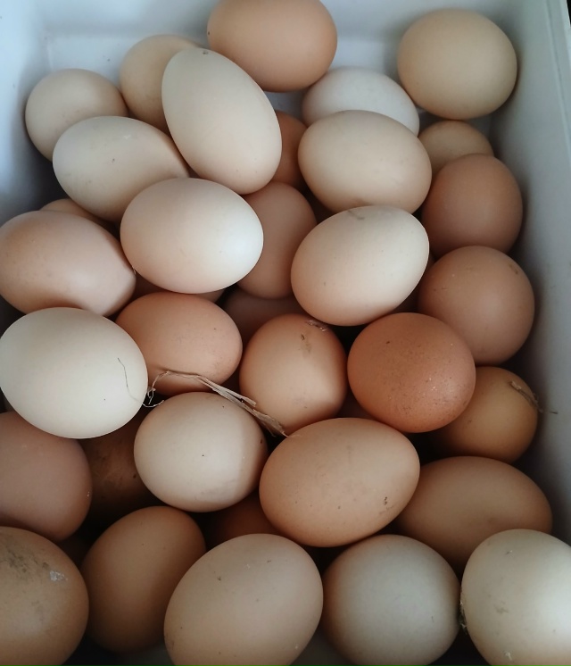 Продам домашние куриные яйца 80 р /десяток , 9 мая 8 , 89022478...