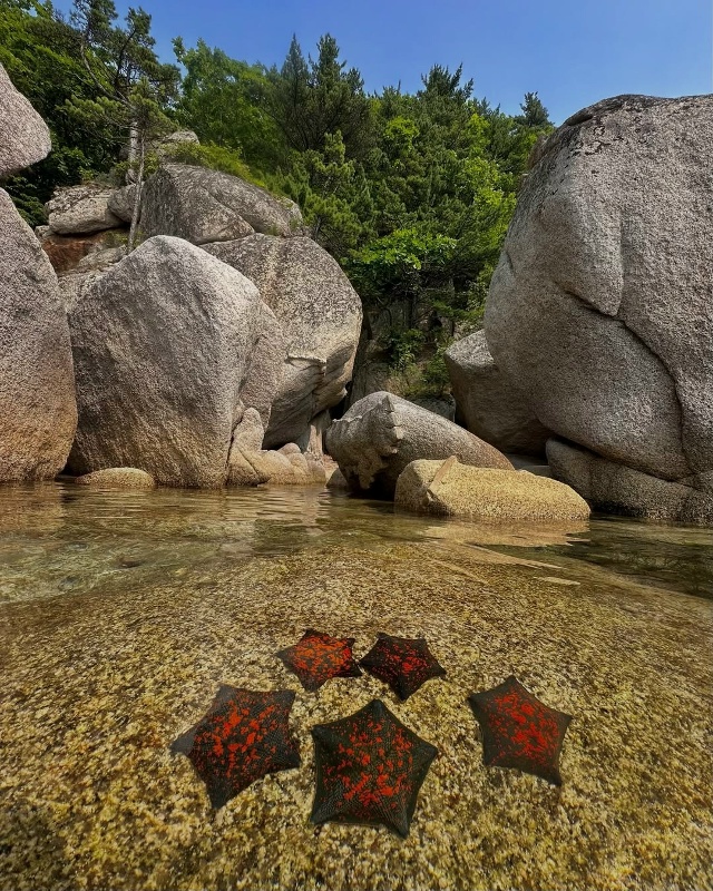 Приморский край 🇷🇺