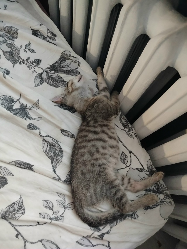 Как можно так спать? Яслик.