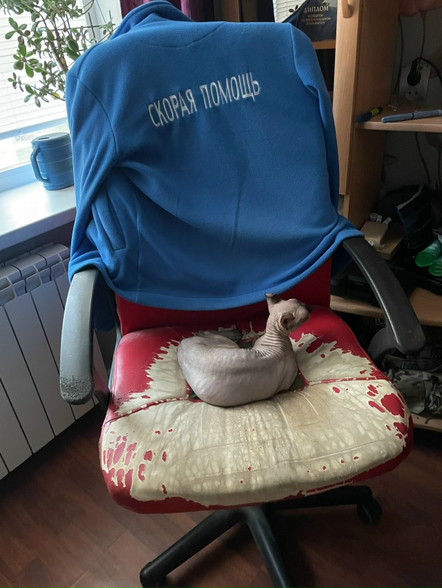 Всем привет! Это Титус, Тит, титька и окорочок. Мы ещё не...