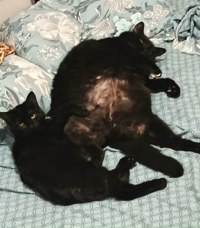 Матумба устал играть в чисто мужские игры и нашел себе...