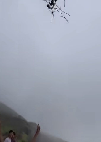 Вот это девушки пошли