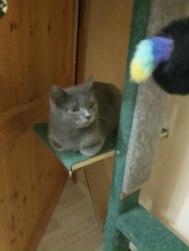 Админ выложи пожалуйста.Примерно чуть больше месяца н?...