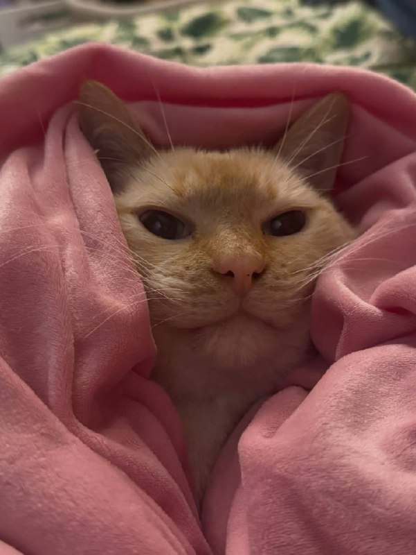 Укутываемся потеплее и спотб :3