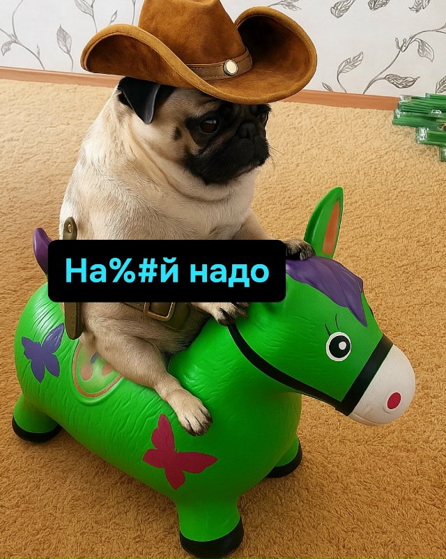 Когда миссия “охранять” внезапно сменяется на миссию...