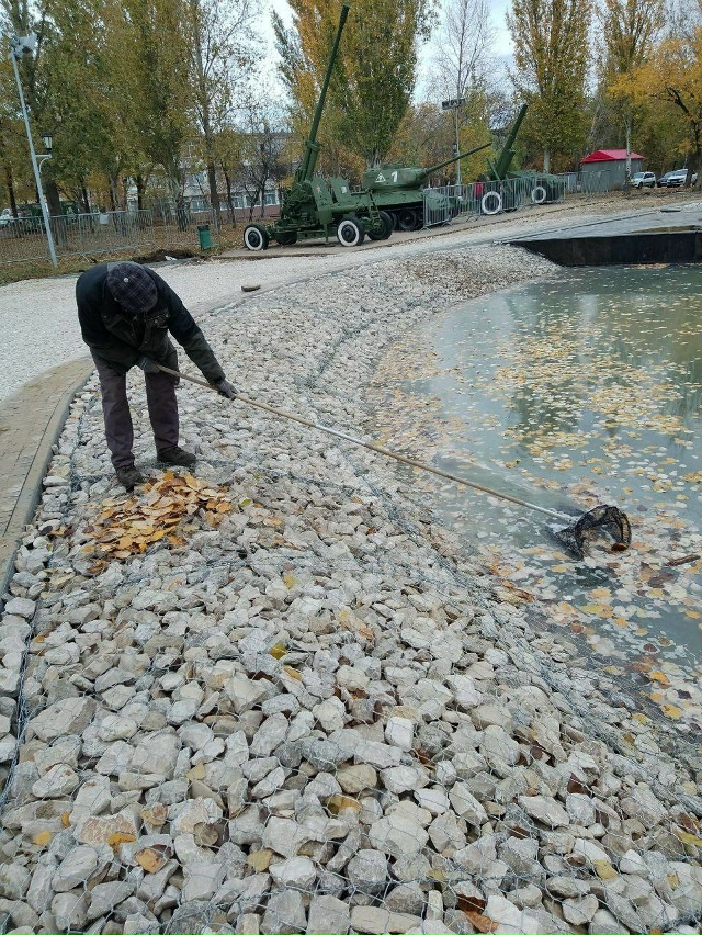 В парке Победы отремонтировали водоём и теперь сотруд?...