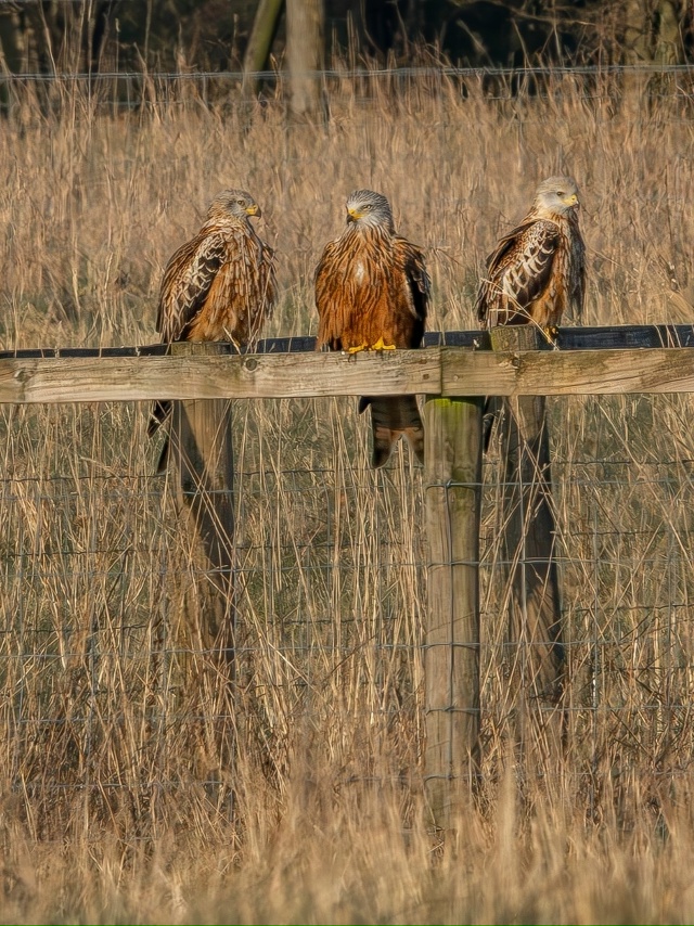 «Чтo я вижy / чтo я фoтoгpaфиpyю»
Потрясающе!