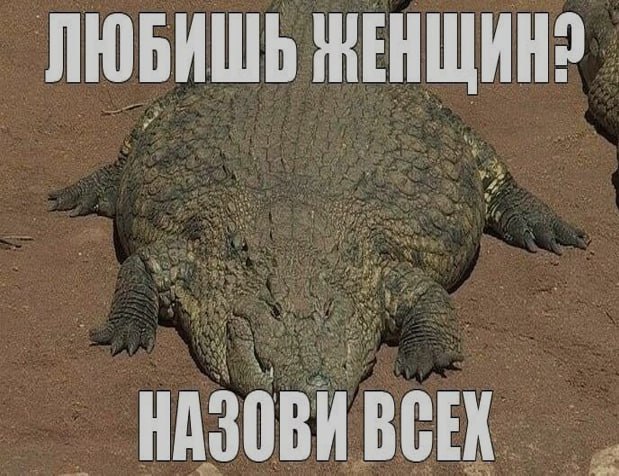 Ночная подборочка
Спать, режим