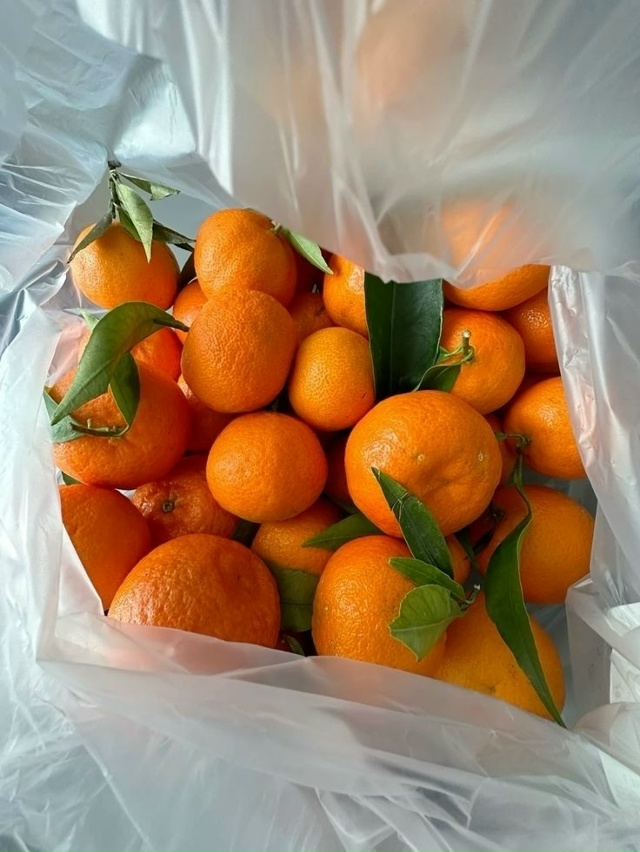 Уже скоро 🥰 чувствуете запах через экран?