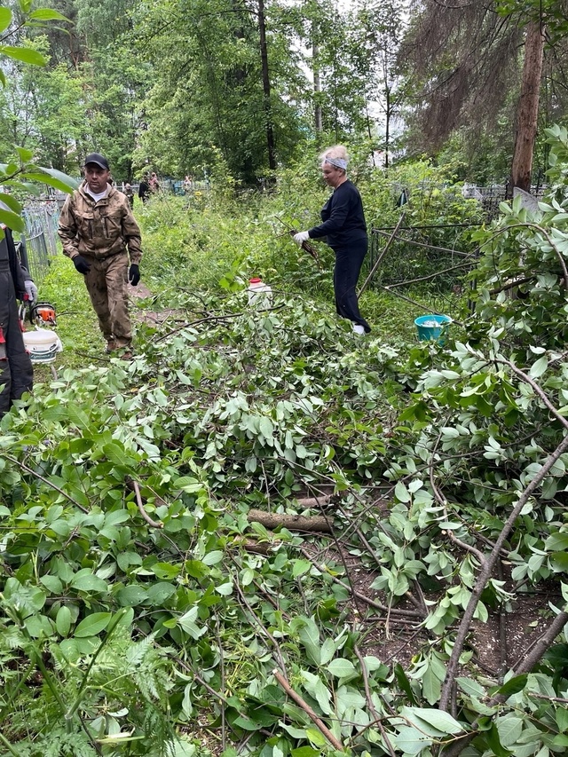 Волонтерский отряд 
