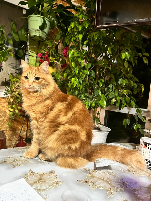 Филимон❤️