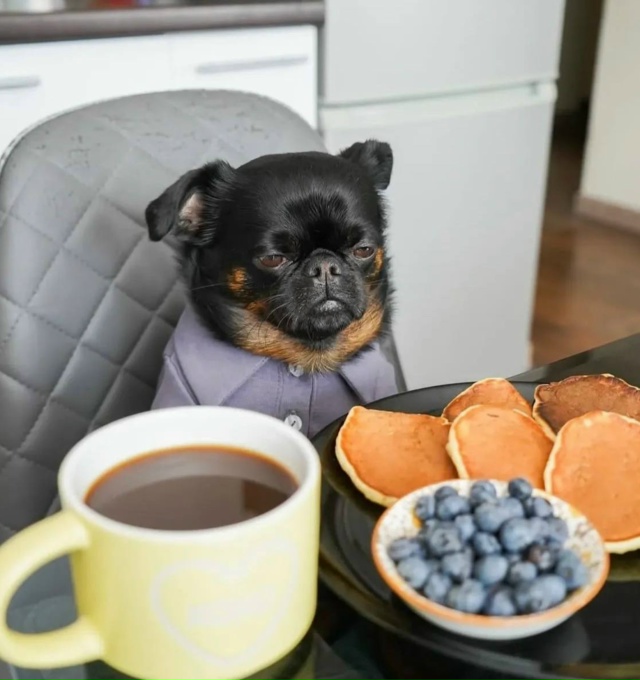 Просто я каждый день: