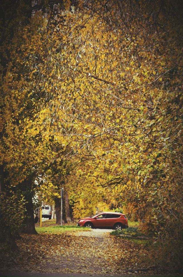 Золотой Ярославль 🍁
📷 Антон Зубайров