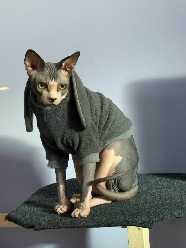 Матюша🦍❤️