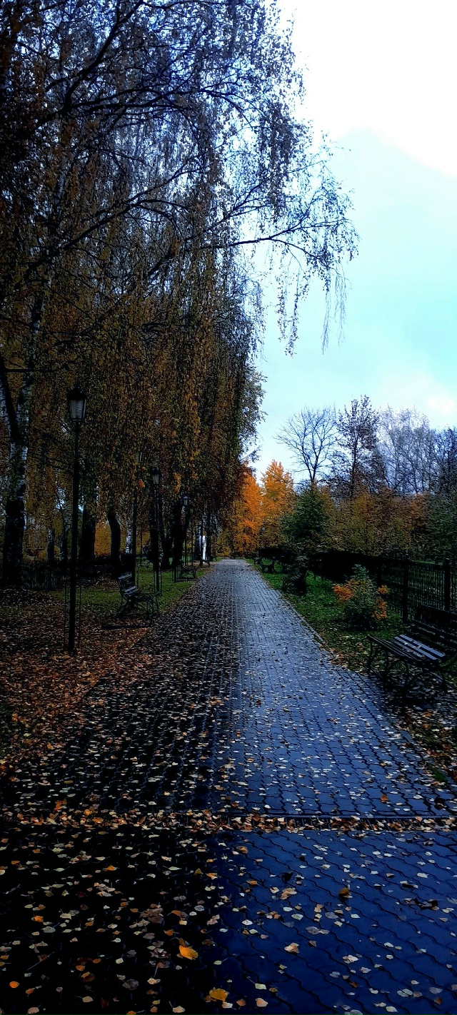 Волгореченск.
Октябрь.
Дождливый день...
