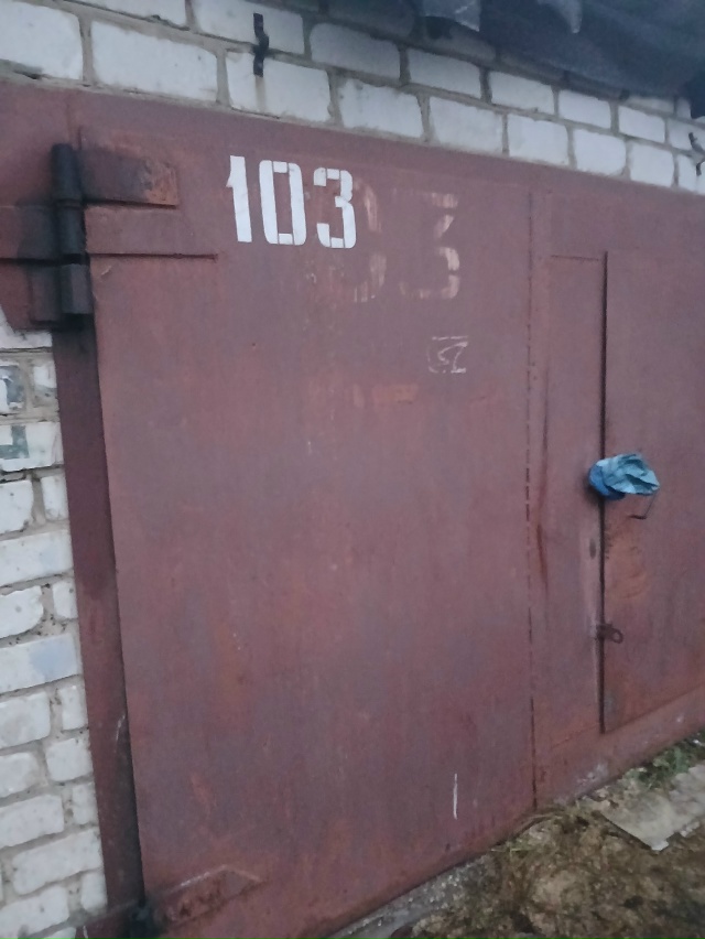 Кто запер кота на кв.Северном в 103 гараже?Голодный,корм ...