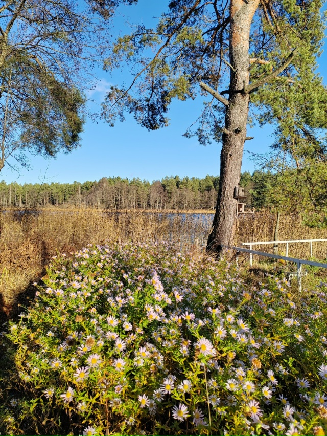 Давно не было фотографий полюбившейся всем рубрики: