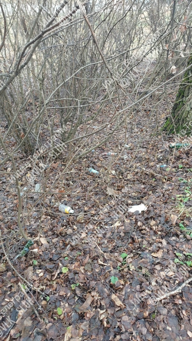 Уважаемая администрация!
Прошу обратить Ваше внимание...