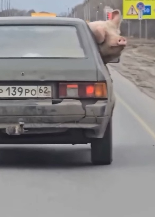Ха-ха-ха!