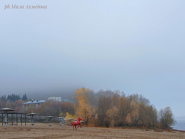 Осенние туманы на набережной. 🍁🌫
Самарская обл.