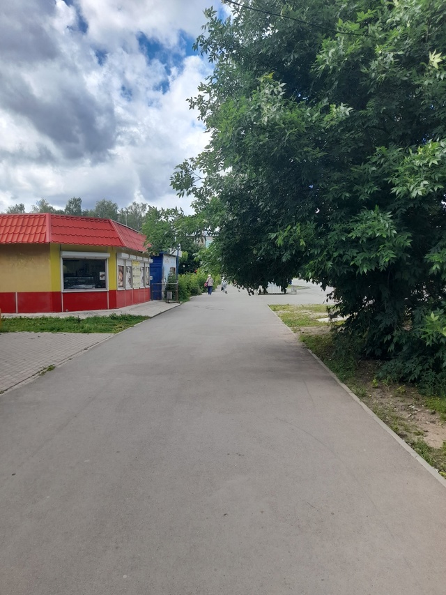 Мира 76 рядом с Данаркой стоит дерево. Чтобы пройти над?...