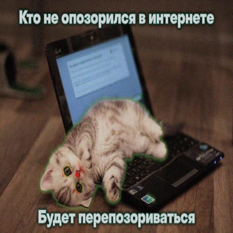 Ночная подборочка
Спать, режим