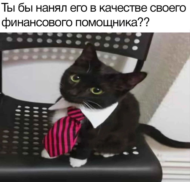 100%