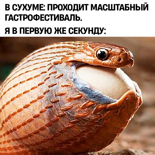 Ням-ням