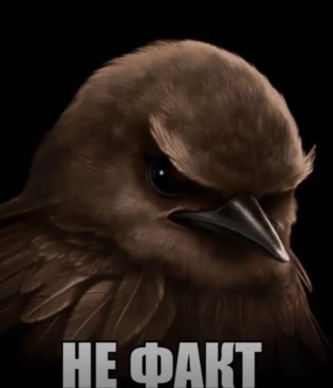 когда спрашиваешь друзей, в силе ли ваши планы на совместное путешествие: