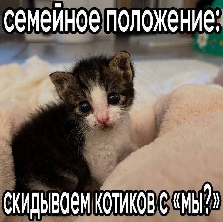 Утренняя подборочка