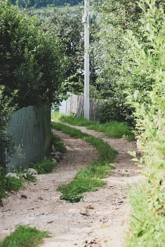 Июль прощается с нами, увидимся в следующем году!
Фото:...