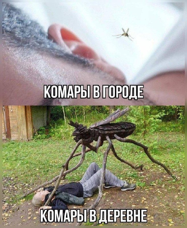 Россиян предупредили о нашествии комаров в ближайшие две недели.
По словам биологов, численность н