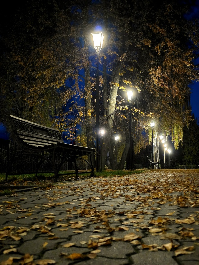 Осень 🍂
Анон