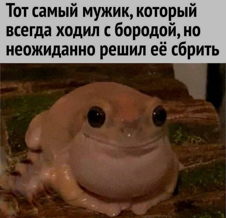 Ночная подборочка
Спать, режим