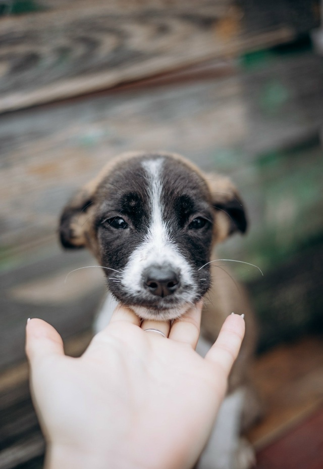 Здравствуйте! Разместите пожалуйста пост 🙏
Очень ище?...