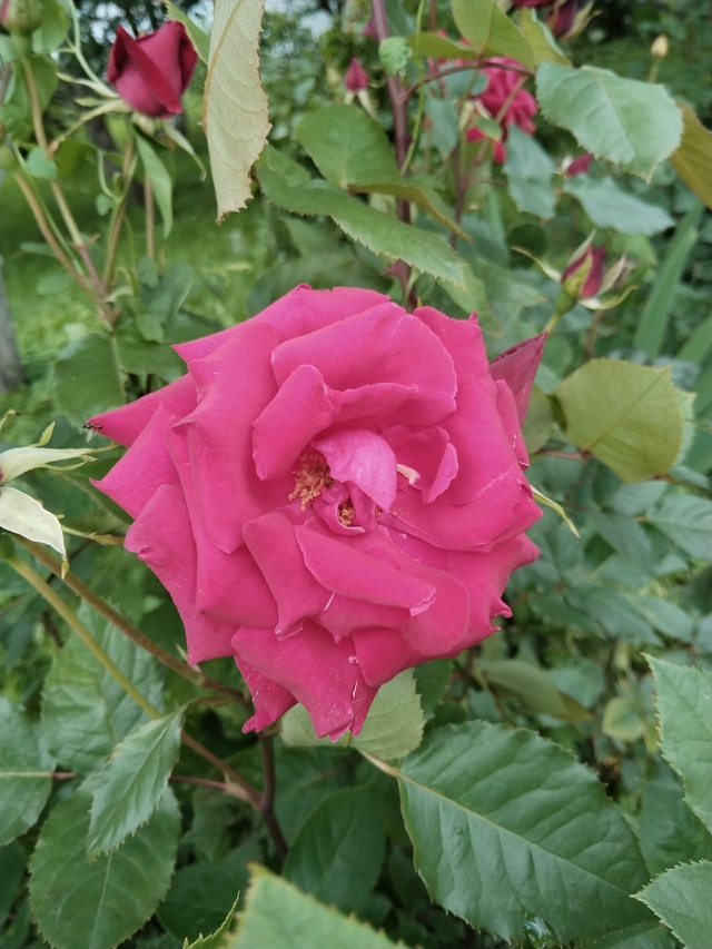 Ну давайте, рассказывайте.....Кому сегодня такие и други...